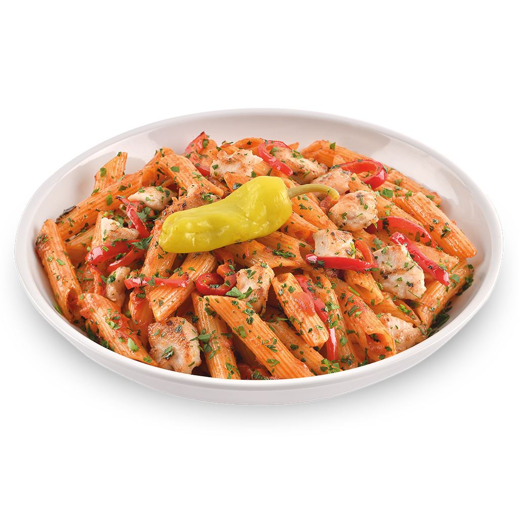 ACILI TAVUKLU MAKARNAM